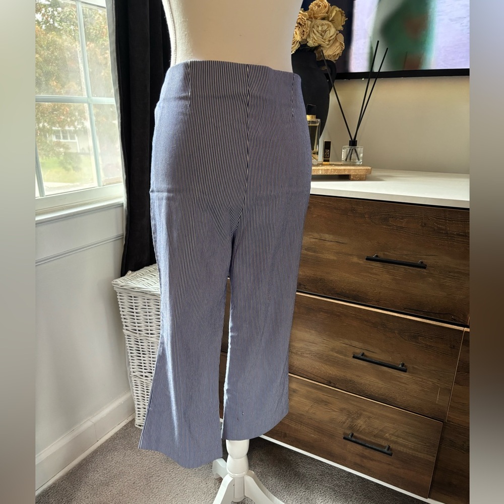 Counterparts Navy and White Striped Pants